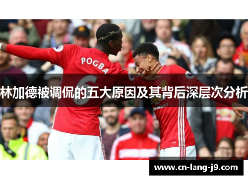 林加德被调侃的五大原因及其背后深层次分析 林加德被调侃的五大原因及其背后深层次分析