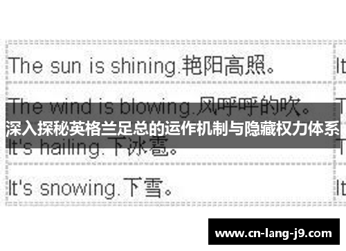 深入探秘英格兰足总的运作机制与隐藏权力体系