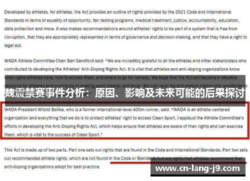 魏震禁赛事件分析：原因、影响及未来可能的后果探讨