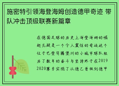 施密特引领海登海姆创造德甲奇迹 带队冲击顶级联赛新篇章