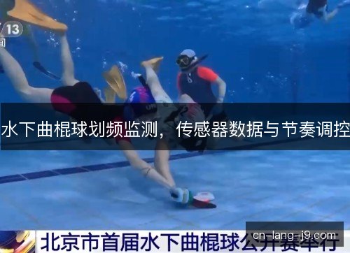 水下曲棍球划频监测，传感器数据与节奏调控